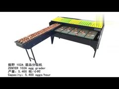машины для сортировки яиц