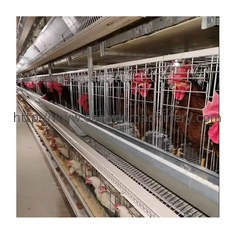 Тип автоматическая система h клетки слоя яйца цыпленка батареи оборудования сельского хозяйства птицы слоя
